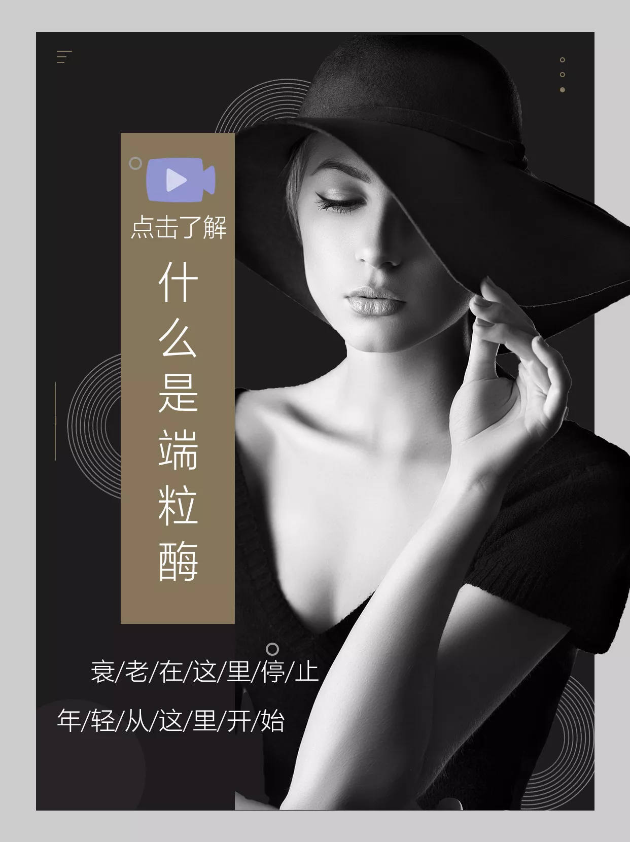 点击了解